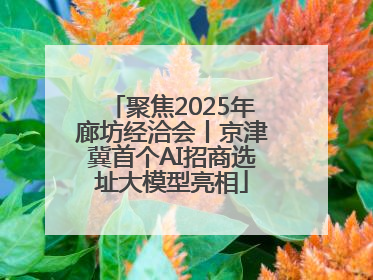 聚焦2025年廊坊经洽会丨京津冀首个AI招商选址大模型亮相